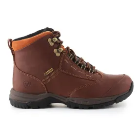 Chaussures Ariat Berwick Gtx W 10016298 brun